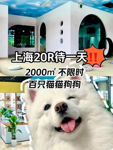 上海i人待一天2000㎡天堂‼️20R不限时
