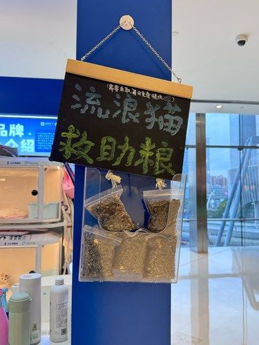 合生汇4楼的宝藏猫舍：幺社领猫馆