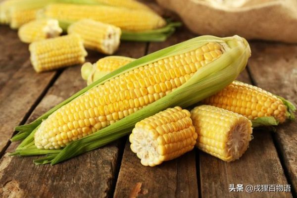 狗粮配方应该如何读？这里教你一招