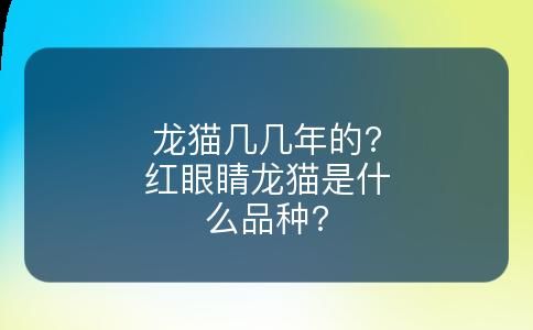 龙猫几几年的?红眼睛龙猫是什么品种?