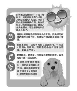 图文：本报今推宠物防暑攻略
