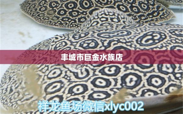 丰城市巨金水族店 全国水族馆企业名录