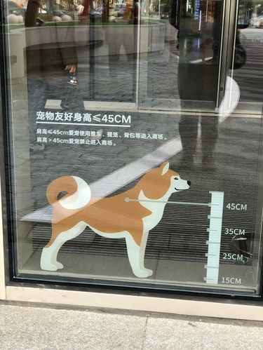 宠物友好商场诶！！！好喜欢