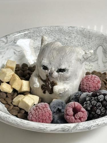 小猫往老爷爷碗里放蟑螂说是枣酸奶碗