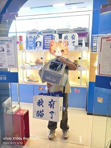很喜欢我的猫