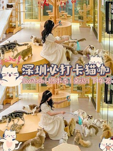 在深圳！！！进来就很难出得去了！！！