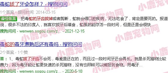把蛇的牙齿拔了日蛇嘴