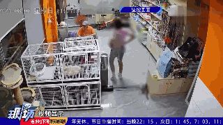 痛心!又一起小孩虐杀宠物,到底哪里出问题?