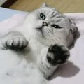 https://p0.meituan.net/userheadpicbackend/3a8699bbd8b1dfa7ceeb80e89c303867432236.jpg%40120w_120h_1e_1c_1l%7Cwatermark%3D0