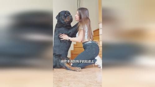 女主宠溺听话宠物狗