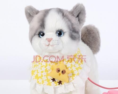 猫咪成长期适合的玩具（猫咪不同时期玩具推荐）