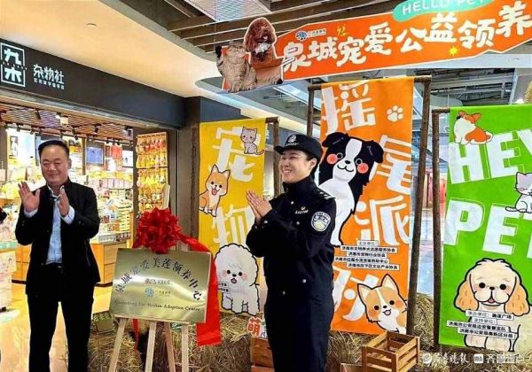 济南首家宠物公益领养中心对外开放