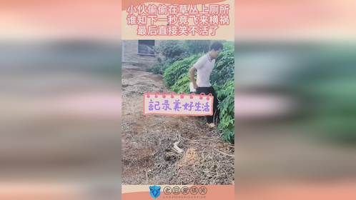小伙偷偷在草丛上厕所，下一秒竟飞来横祸，最后直接笑不活了！