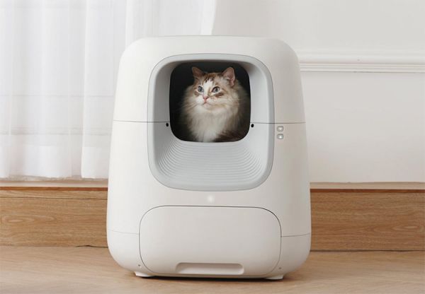 智能猫砂盆“Catta猫塔”出圈背后，宠物智能家居迎来风口