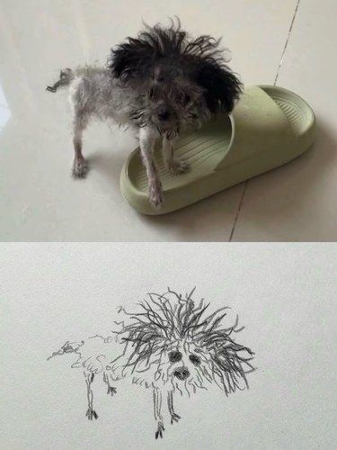 不能说画的一模一样！