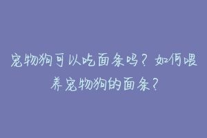 宠物狗可以吃面条吗?如何喂养宠物狗的面条?