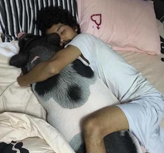 男子养了一只宠物猪,每天照顾的无微不至,一年后却成了噩梦!