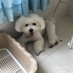 附近有萌宠宠物乐园