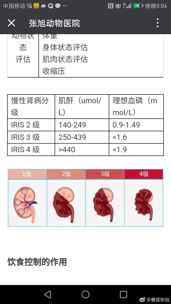 表格