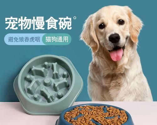 家养宠物猫咬了该打什么针（宠物护理知识分享）