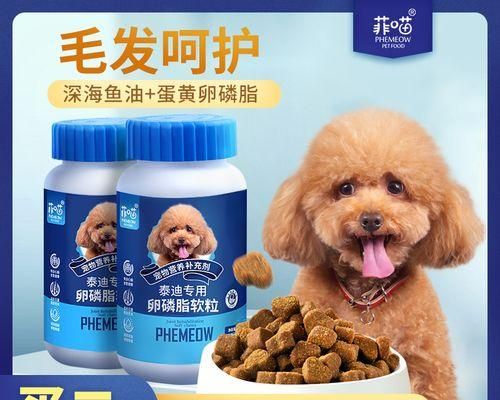 狗吃头发怎么办（解决宠物吃头发的方法和注意事项）