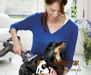 狗狗毛髮梳理