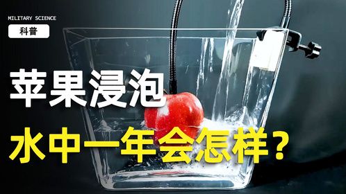 如果将苹果浸泡在水中一年，会发生什么？