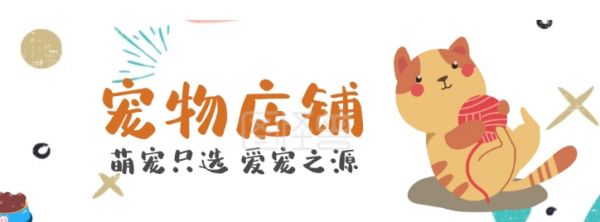 如何购买一个宠物天猫店?需要考虑哪些因素?