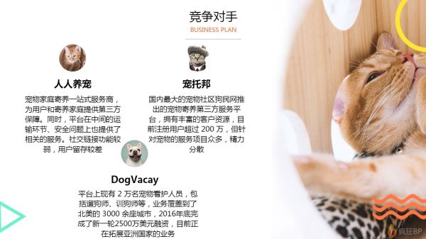 【范文】宠物寄养APP商业计划书