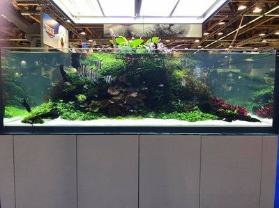 超大型鱼缸造景设计效果图：超大型鱼缸设计效果图 鱼缸 第1张