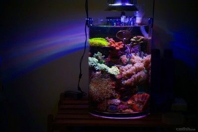 大型鱼鱼缸造景图：关于大型鱼缸造景 鱼缸 第2张