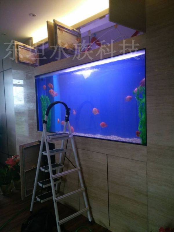 天河海水鱼缸造景设计,天河鱼缸摆放,广州海水鱼缸