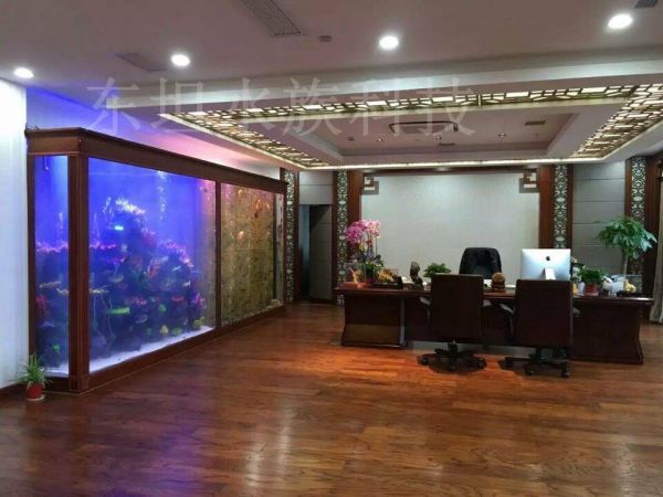 天河海水鱼缸造景设计,天河鱼缸摆放,广州海水鱼缸