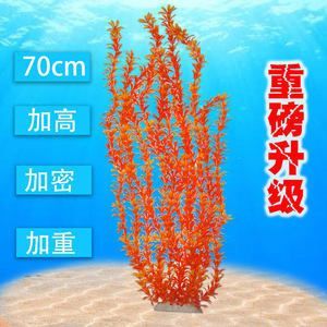 70厘米高鱼缸造景：70厘米高的鱼缸造景需要注意什么？ 鱼缸 第1张