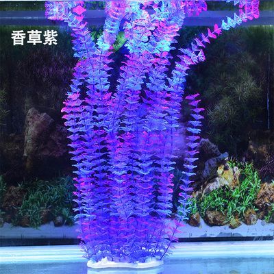 70厘米高鱼缸造景：70厘米高的鱼缸造景需要注意什么？ 鱼缸 第4张