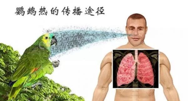 003.webp.jpg