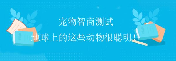 常规智商测试