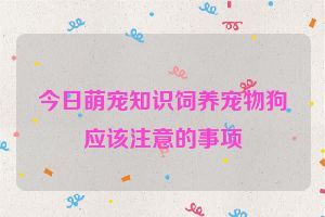 今日萌宠知识饲养宠物狗应该注意的事项