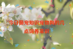 今日萌宠知识宠物狗的几点饲养常识