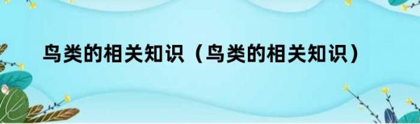 鸟类的相关知识（鸟类的相关知识）