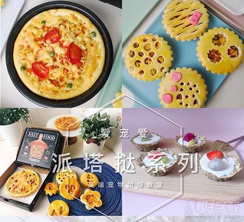 南京爱宠爱 作品展示