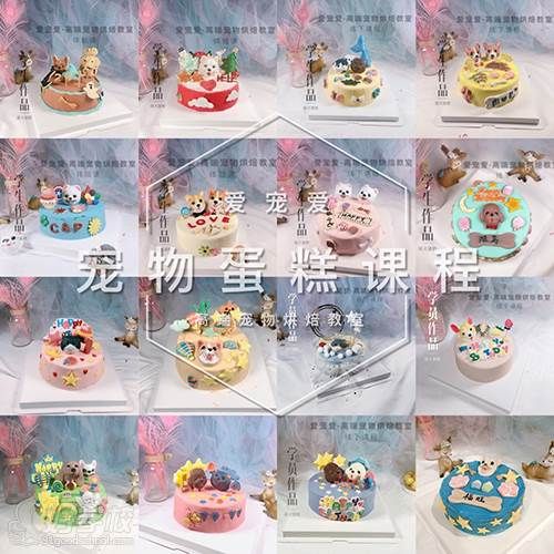 南京爱宠爱 学员作品