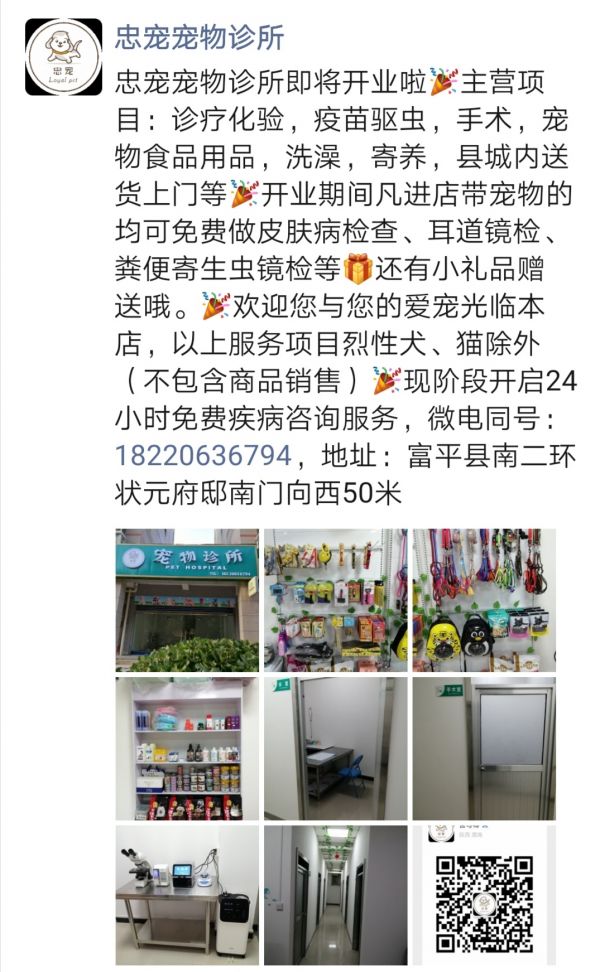 富平忠宠宠物诊所