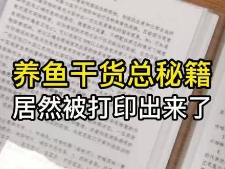 小宝贝，收到养鱼的精华资料了吗？