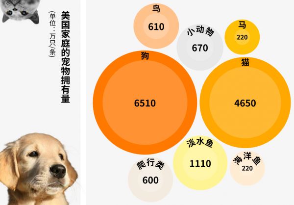 浅谈海外宠物品类市场规模热销趋势-跨境365知识圈
