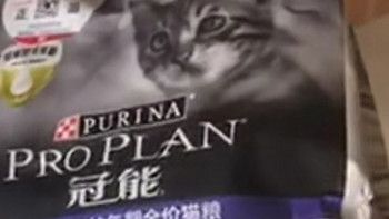 冠能幼猫猫粮：守护成长，从第一口开始