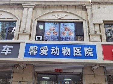 【馨爱宠物医院】—— 天佑的生命之光，从这里