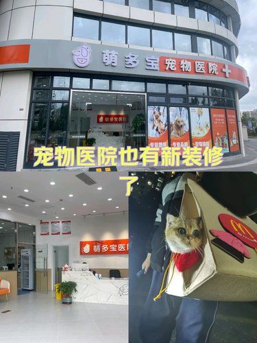 带猫猫检查笔记～