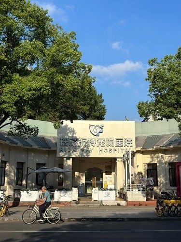 在上海！！请记住这个地方！！