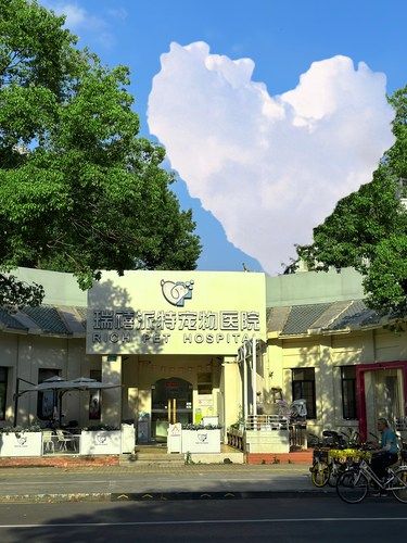 上海这家店真的Next Level…